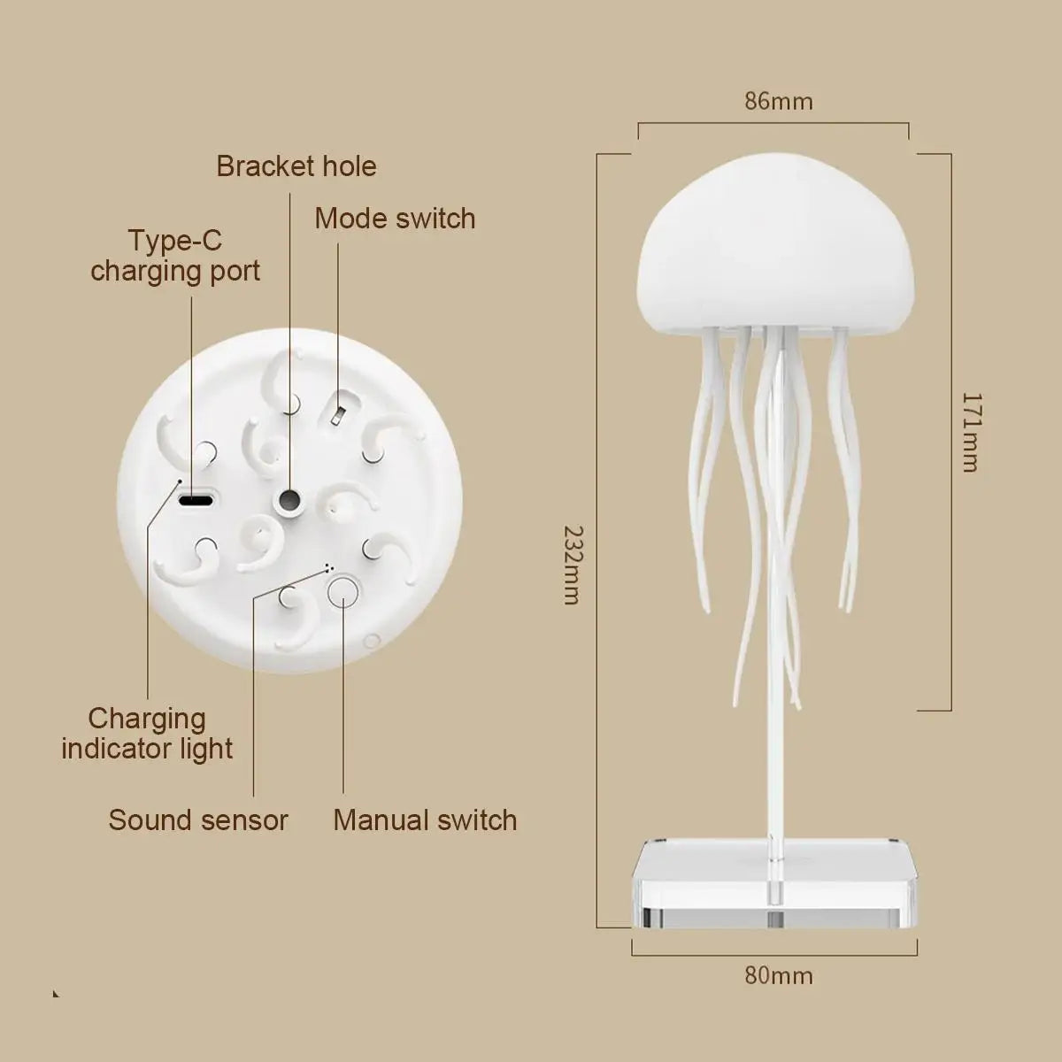 Jellyfish Lamp