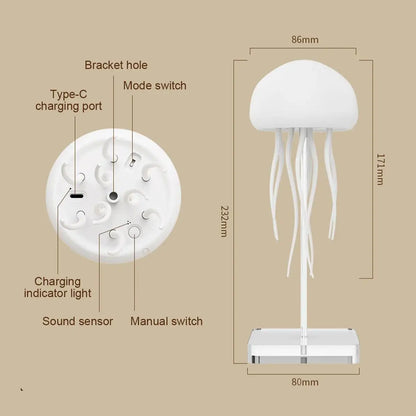 Jellyfish Lamp